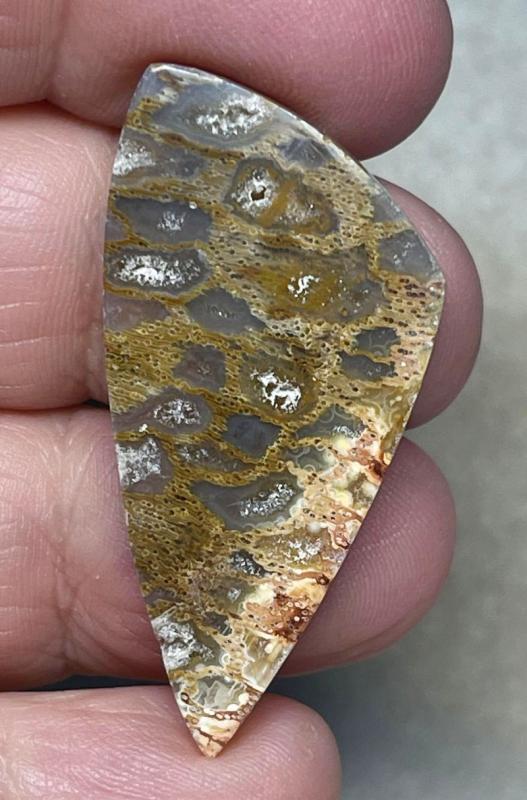 Freeform 42x20mm Petrified Pocket Root Cabochon 01