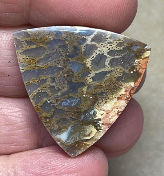 Freeform 28x30mm Petrified Pocket Root Cabochon 02