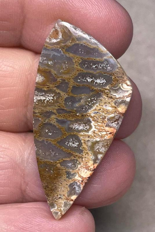 Freeform 42x20mm Petrified Pocket Root Cabochon 03