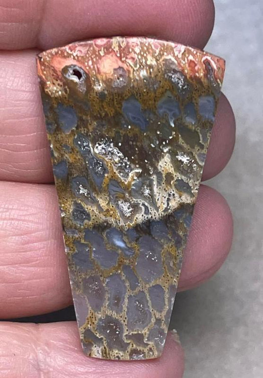 Freeform 44x24mm Petrified Pocket Root Cabochon 05