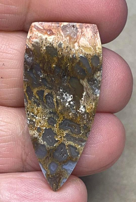 Freeform 39x18mm Petrified Pocket Root Cabochon 06