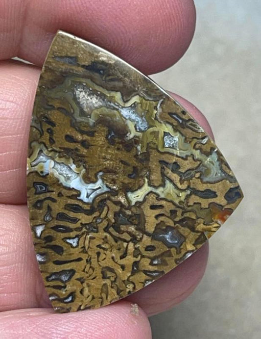 Freeform 37x30mm Petrified Pocket Root Cabochon 11