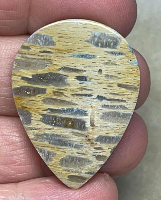 Teardrop 37x27mm Petrified Pocket Root Cabochon 13