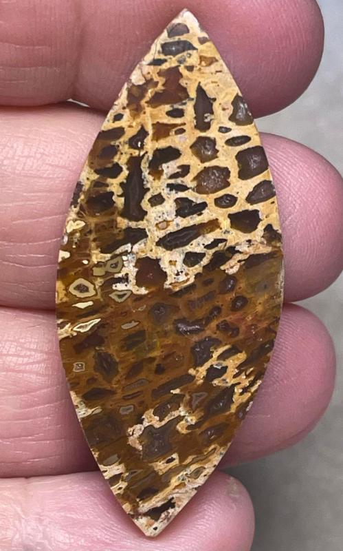 Marquise 49x21mm Petrified Pocket Root Cabochon 14