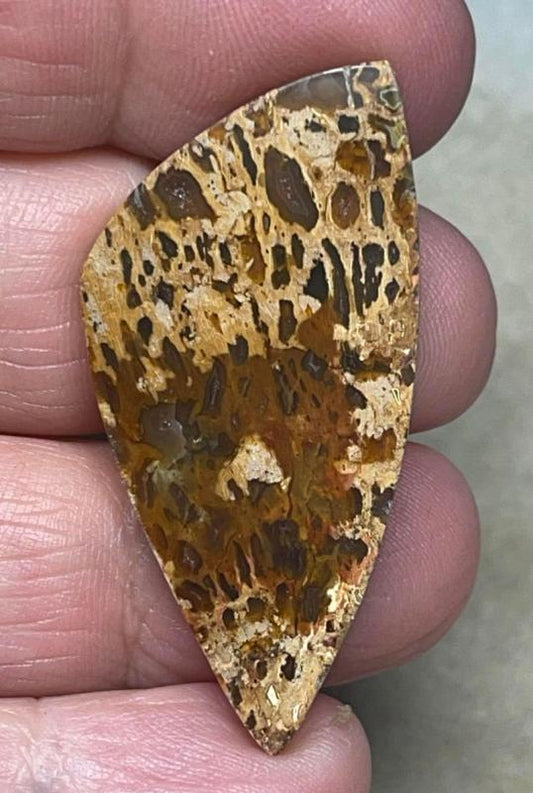 Freeform 44x21mm Petrified Pocket Root Cabochon 15