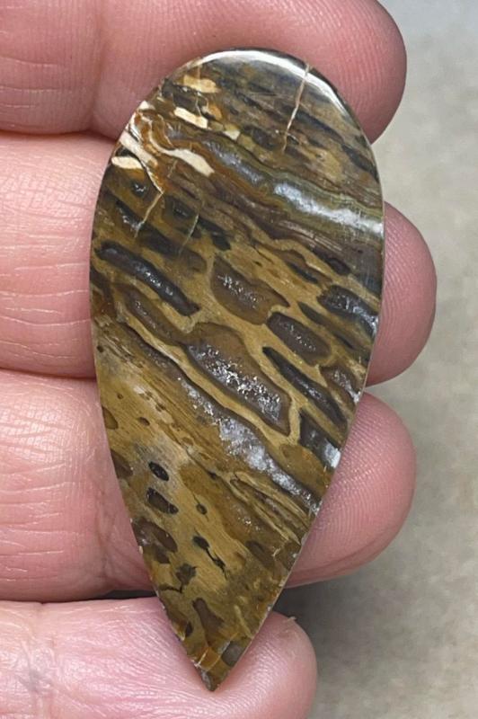 Teardrop 48x22mm Petrified Pocket Root Cabochon 18