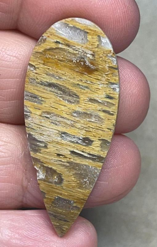 Teardrop 44x18mm Petrified Pocket Root Cabochon 19