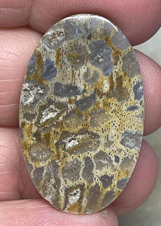 Oval 34x21mm Petrified Pocket Root Cabochon 20