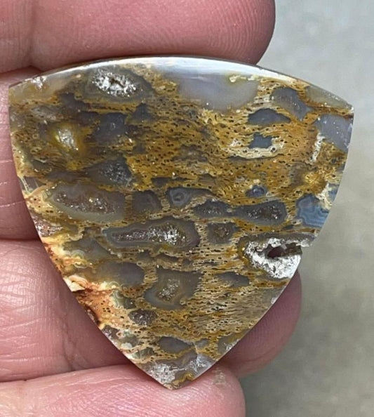 Freeform 33x34mm Petrified Pocket Root Cabochon 22