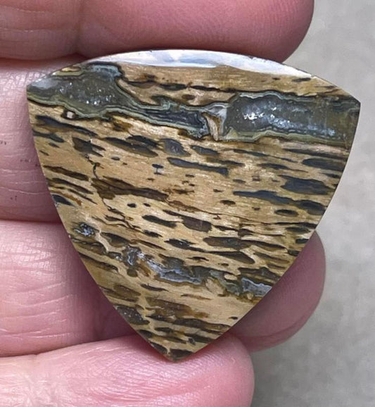 Freeform 31x32mm Petrified Pocket Root Cabochon 24
