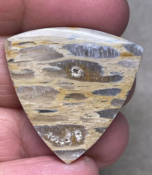 Freeform 30x30mm Petrified Pocket Root Cabochon 25