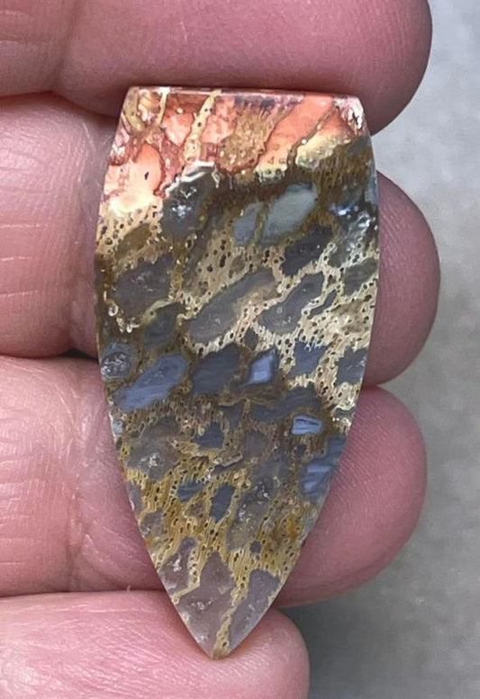 Freeform 37x18mm Petrified Pocket Root Cabochon 26