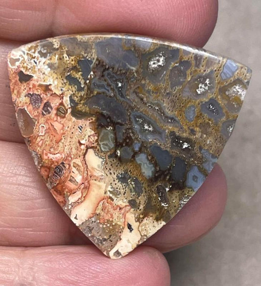 Freeform 34x34mm Petrified Pocket Root Cabochon 28