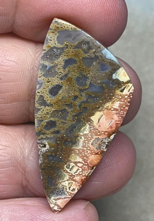 Freeform 40x20mm Petrified Pocket Root Cabochon 29