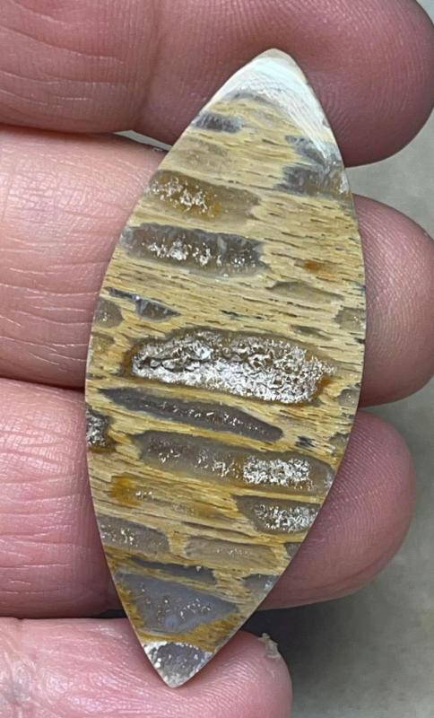 Marquise 48x20mm Petrified Pocket Root Cabochon 30