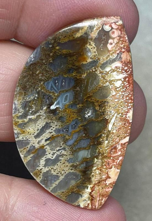 Freeform 37x23mm Petrified Pocket Root Cabochon 33