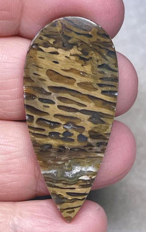 Teardrop 46x21mm Petrified Pocket Root Cabochon 34