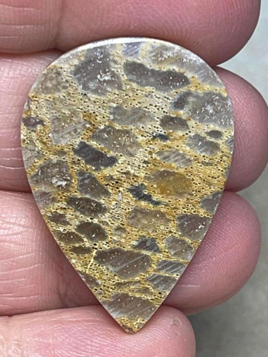 Teardrop 34x24mm Petrified Pocket Root Cabochon 35