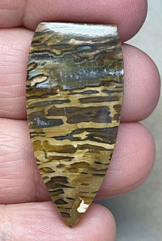 Freeform 39x18mm Petrified Pocket Root Cabochon 36