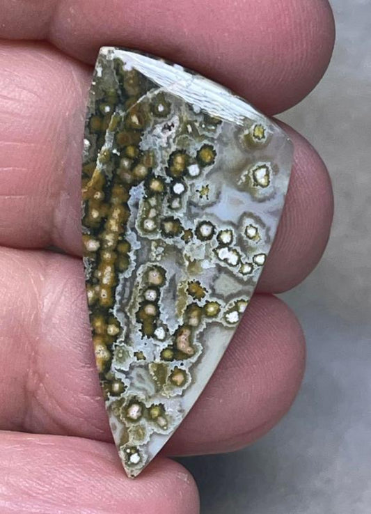Freeform 36x17mm Ocean Jasper Cabochon 65