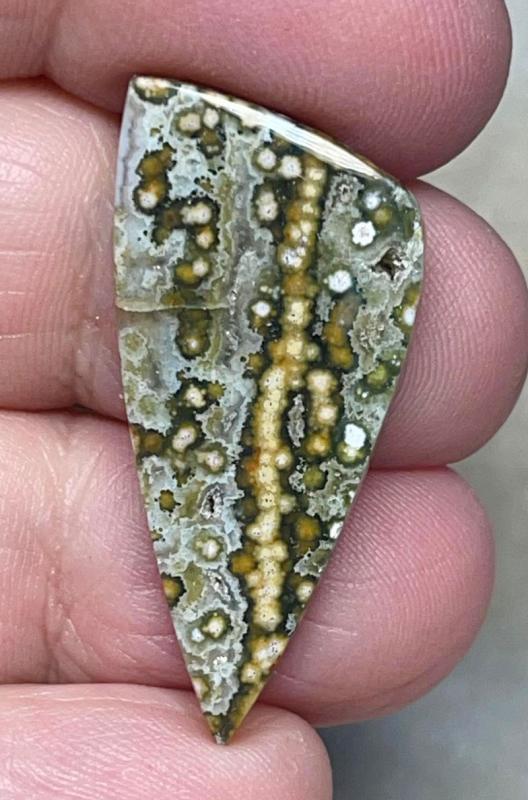 Freeform 35x16mm Ocean Jasper Cabochon 81