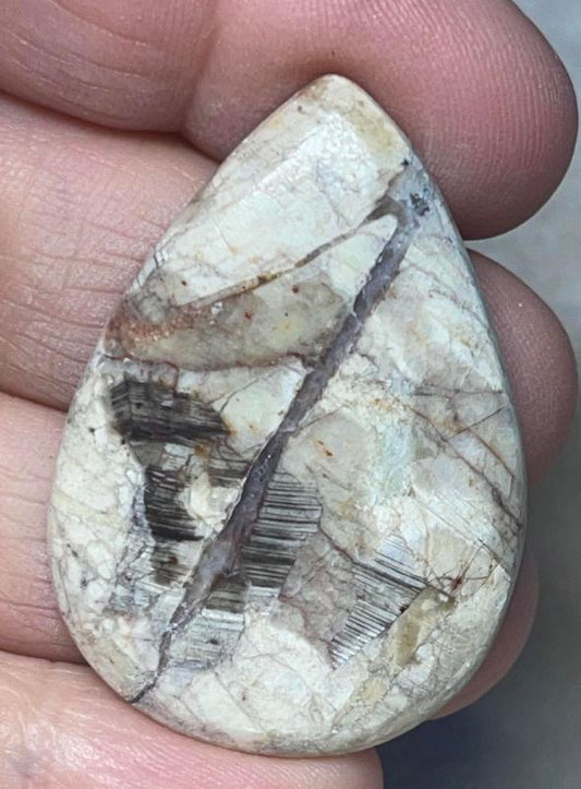 Teardrop 42x29mm Butterfly Wing Jasper Cabochon 10