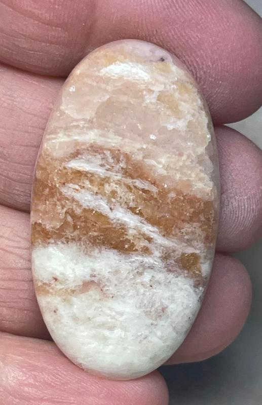 Oval 41x22mm Butterfly Wing Jasper Cabochon 11