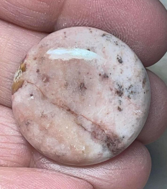 Round 27x27mm Butterfly Wing Jasper Cabochon 23