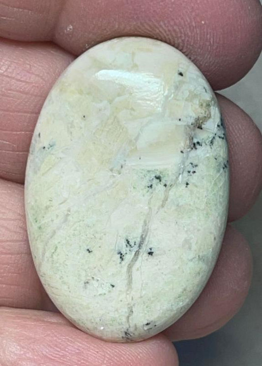 Oval 35x23mm Butterfly Wing Jasper Cabochon 25