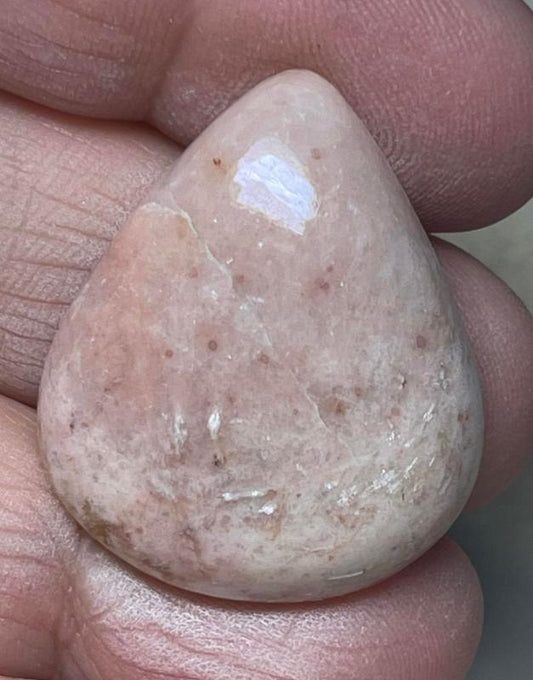 Teardrop 30x25mm Butterfly Wing Jasper Cabochon 26