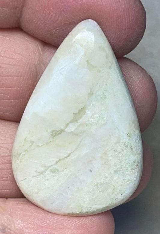 Teardrop 38x25mm Butterfly Wing Jasper Cabochon 27