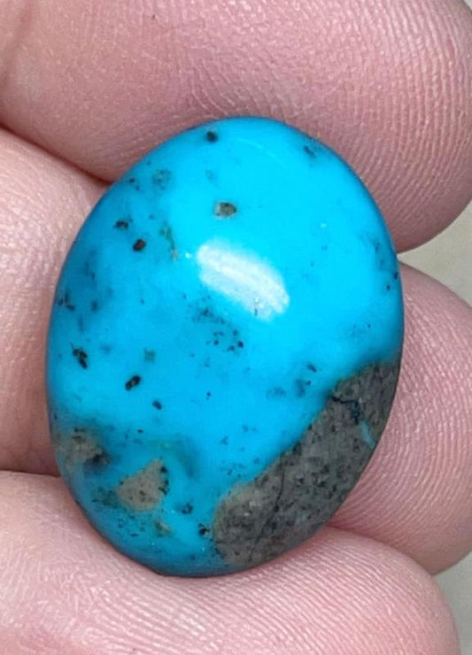 Oval 22x16mm P Turquoise Cabochon 08