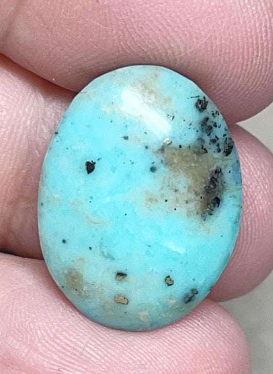Oval 22x16mm P Turquoise Cabochon 11