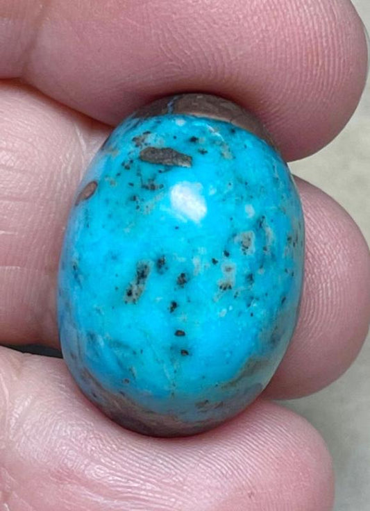 Oval 25x16mm P Turquoise Cabochon 21