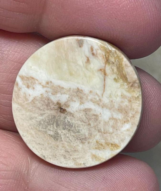 Round 24x24mm Oregon Sunset Jasper Cabochon 09