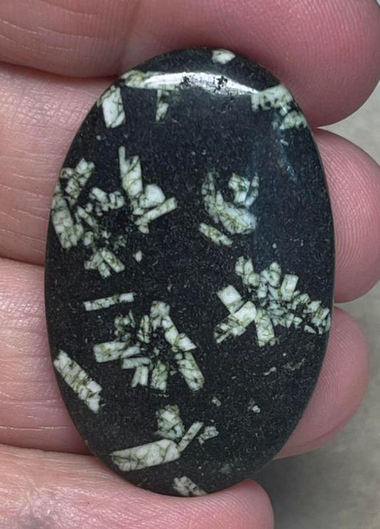 Oval 41x26mm Chinese Writing Stone Cabochon 08