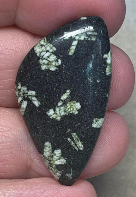 Freeform 39x20mm Chinese Writing Stone Cabochon 10