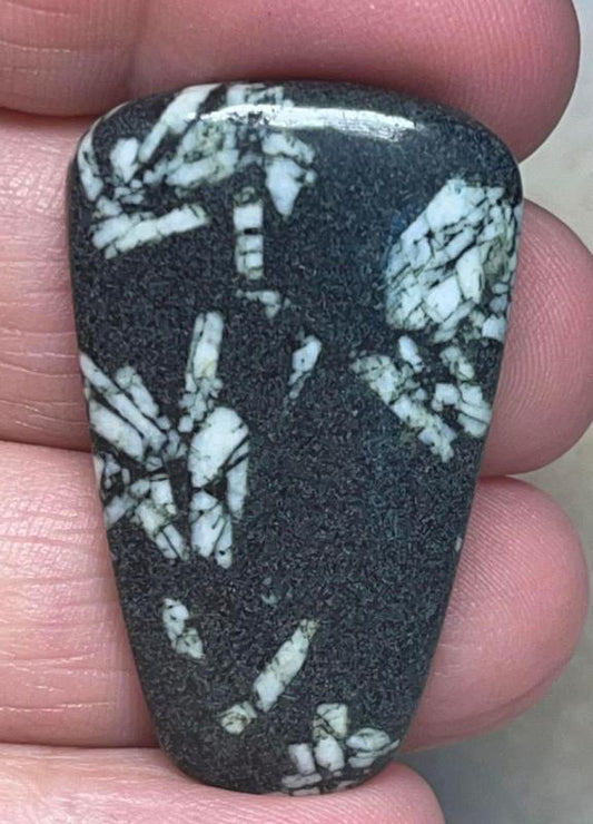 Freeform 39x24mm Chinese Writing Stone Cabochon 14