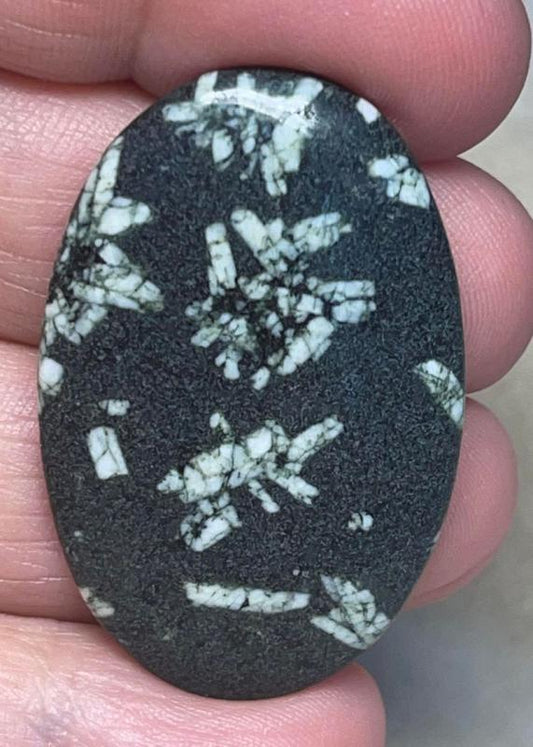 Oval 40x26mm Chinese Writing Stone Cabochon 15