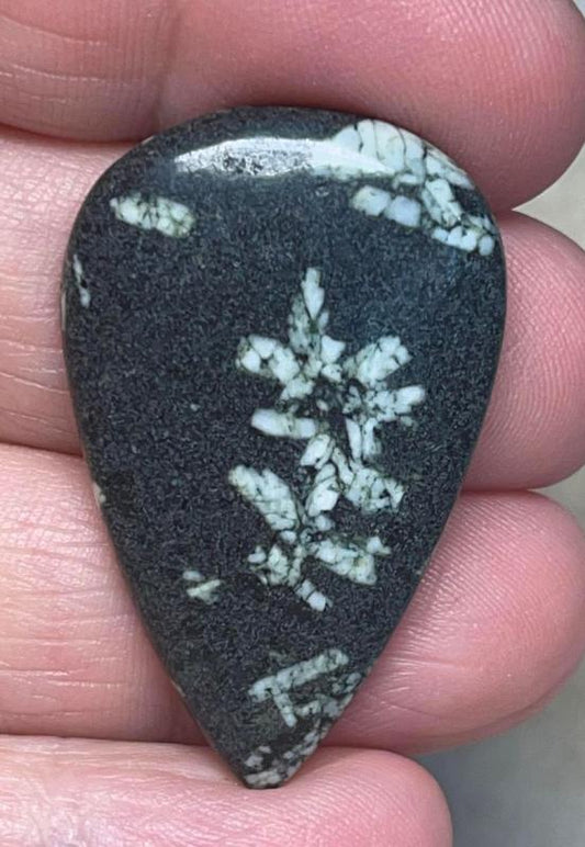 Teardrop 38x24mm Chinese Writing Stone Cabochon 19