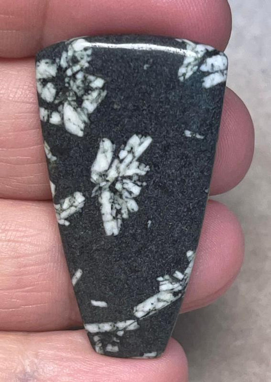 Freeform 43x24mm Chinese Writing Stone Cabochon 21