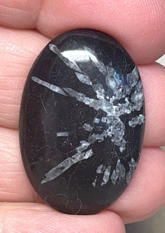 Oval 32x21mm Chrysanthemum Stone Cabochon 01