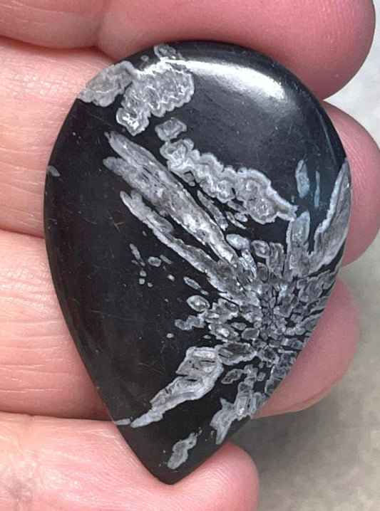 Teardrop 40x27mm Chrysanthemum Stone Cabochon 06
