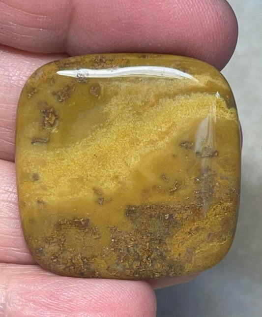 Freeform 32x32mm Wood Jasper Cabochon 10