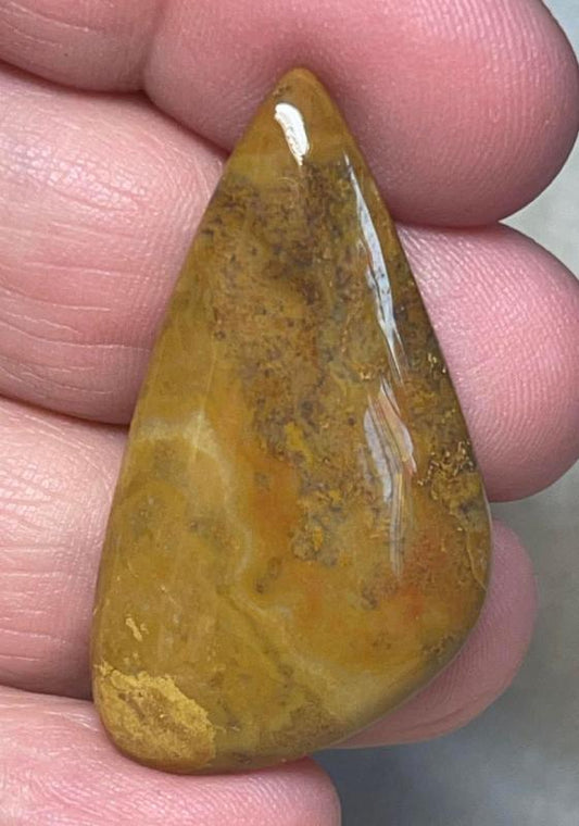 Freeform 40x21mm Wood Jasper Cabochon 12