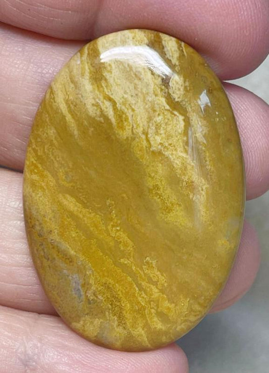 Oval 44x30mm Wood Jasper Cabochon 15