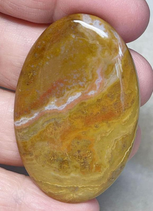 Oval 50x32mm Wood Jasper Cabochon 18