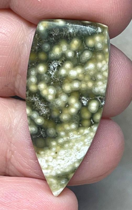 Freeform 36x16mm Ocean Jasper Cabochon 90