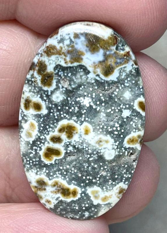 Oval 32x20mm Ocean Jasper Cabochon 92