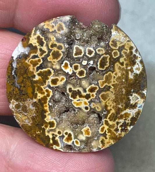 Round 31x31mm Ocean Jasper Cabochon 94